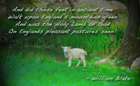 Holy Lamb Seen, England Mountain Green