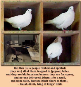 Trapped in pigeon holes