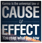 karma-reap-what-you-sow