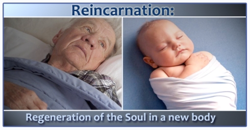 reincarnation-of-the-soul2