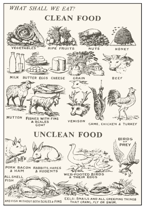 Clean and Unclean Foods