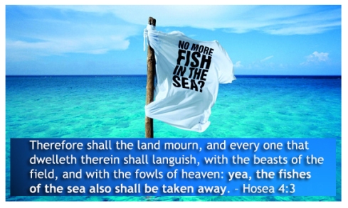 Hosea 4-3